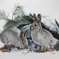 Art & Collectibles > Prints > Lithographs - Richard Timm, Snowshoe Hare, Signed Print, 28x22 Wade Collection, Plate 25 by...