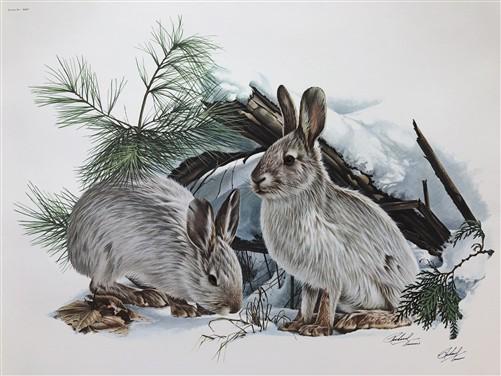 Art & Collectibles > Prints > Lithographs - Richard Timm, Snowshoe Hare, Signed Print, 28x22 Wade Collection, Plate 25 by...