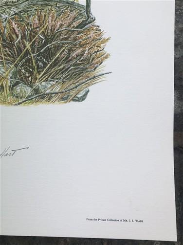 Art & Collectibles > Prints > Lithographs - Ernest Hart, Irish Setter, Signed Dog Print, 28x22, Wade Collection, Plate 4 b...
