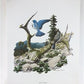 Richard Sloan, Mountain Bluebird, Signed Print, 11x14, Essay, Sketches, Plate 10
