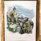 Art & Collectibles > Prints > Lithographs - Richard Timm, Mountain Goat, Signed Print, 28x22 Wade Collection, Plate 26 by...