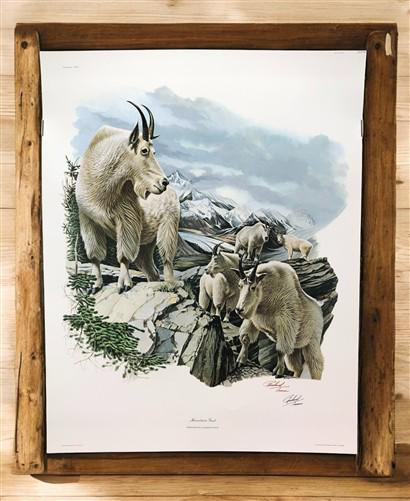 Art & Collectibles > Prints > Lithographs - Richard Timm, Mountain Goat, Signed Print, 28x22 Wade Collection, Plate 26 by...