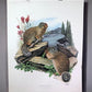 Art & Collectibles > Prints > Lithographs - Richard Timm, Ground Squirrel, Signed Print, 28x22 Wade Collection, Plate 31 b...