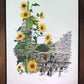 Art & Collectibles > Prints > Lithographs - Maryrose Wampler, Common Sunflower, Signed Print, 28x22 Wall Art, Plate 24 by...