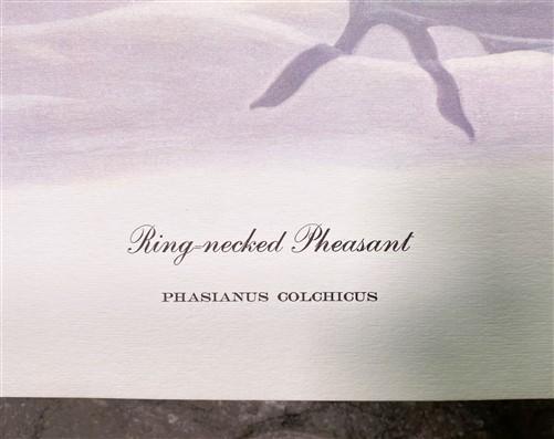 Art & Collectibles > Prints > Lithographs - Richard Sloan, Ring-Necked Pheasant, Signed Print, 28x22 Wade Collection Plate...
