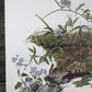 Art & Collectibles > Prints > Lithographs - Maryrose Wampler, Passion Vine, Signed Print, 28x22 Wall Art, Plate 18 by The...