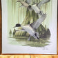 Art & Collectibles > Prints > Lithographs - Richard Sloan, Pintail, Signed Print, 28x22, Wade Collection, Plate 32 by The...