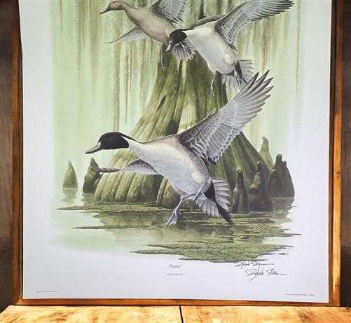 Art & Collectibles > Prints > Lithographs - Richard Sloan, Pintail, Signed Print, 28x22, Wade Collection, Plate 32 by The...