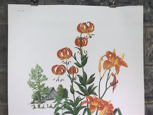 Art & Collectibles > Prints > Lithographs - Maryrose Wampler, Lilies & Trumpet Vine, Signed Print, 28x22 Wall Art, Plate 2...