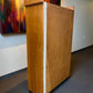 2 Sliding Door Display Cabinet, Vintage Display Case, Curio Cabinet, Showcase, G