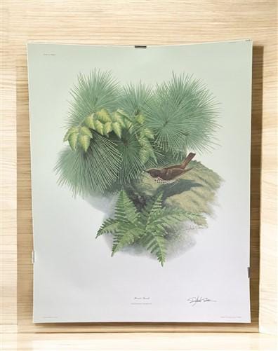 Art & Collectibles > Prints > Lithographs - Richard Sloan, Hermit Thrush, Signed Print, 28x22, Wade Collection, Plate 34 b...
