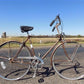 Toys & Games > Sports & Outdoor Recreation > Bikes & Cycling > Bicycles - Chicago Schwinn Bicycle, Brown 3 Speed World Tou...