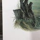 Art & Collectibles > Prints > Lithographs - Richard Timm, Alaska Moose, Signed Print, 28x22 Wade Collection, Plate 18 by T...