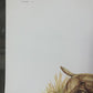 Art & Collectibles > Prints > Lithographs - Ernest Hart, Labrador, Signed Dog Print, 28x22, Wade Collection, Plate 5 by Th...