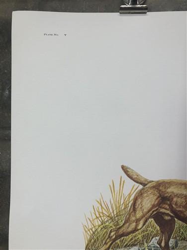 Art & Collectibles > Prints > Lithographs - Ernest Hart, Labrador, Signed Dog Print, 28x22, Wade Collection, Plate 5 by Th...