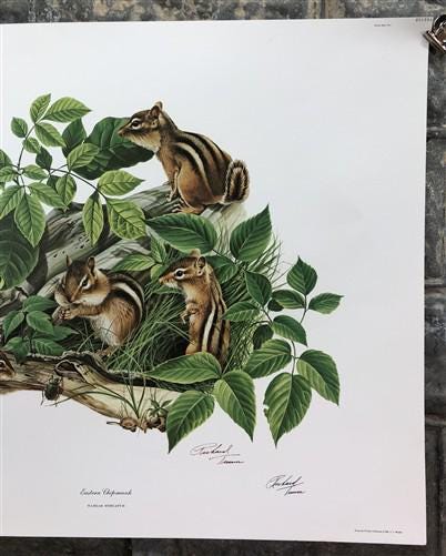 Richard Timm, Eastern Chipmunk, Signed Print, 28x22 Wade Collection, Plate 5