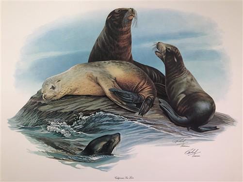 Art & Collectibles > Prints > Lithographs - Richard Timm, California Sea Lion, Signed Print, 28x22 Wade Collection, Plate...