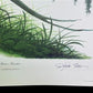 Art & Collectibles > Prints > Lithographs - Richard Sloan, Brown Thrasher, Signed Print, 28x22, Wade Collection, Plate 22...