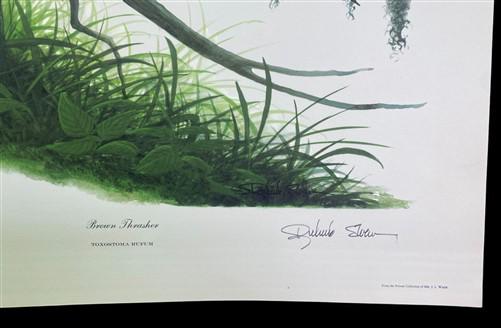 Art & Collectibles > Prints > Lithographs - Richard Sloan, Brown Thrasher, Signed Print, 28x22, Wade Collection, Plate 22...