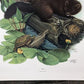 Art & Collectibles > Prints > Lithographs - Richard Timm, Mink, Signed Print, 28x22 Wade Collection, Plate 22 by The Old G...