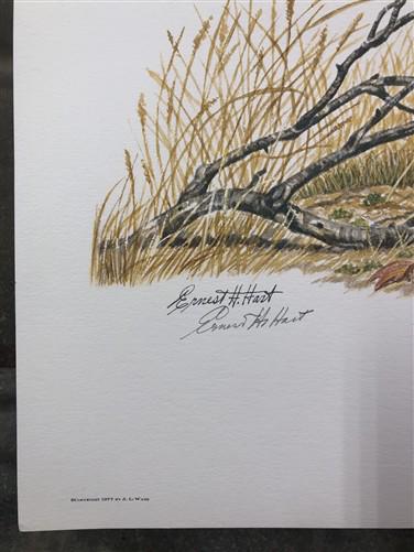 Ernest Hart, German Pointers, Signed Dog Print, 28x22, Wade Collection, Plate 3