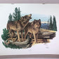 Art & Collectibles > Prints > Lithographs - Richard Timm, Timber Wolf, Signed Print, 28x22 Wade Collection, Plate 34 by Th...