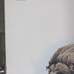 Art & Collectibles > Prints > Lithographs - Richard Timm, Musk Ox, Signed Print, 28x22 Wade Collection, Plate 40 by The Ol...