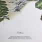 Maryrose Wampler, Trillium, Signed Print, 28x22 Wall Art, Plate 21