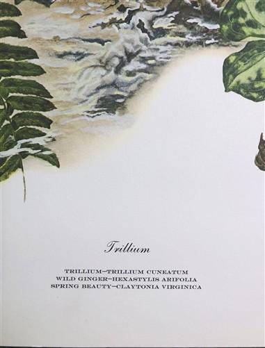 Maryrose Wampler, Trillium, Signed Print, 28x22 Wall Art, Plate 21