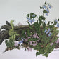 Art & Collectibles > Prints > Lithographs - Maryrose Wampler, Bluebells, Signed Print, 28x22 Wall Art, Plate 27 by The Old...