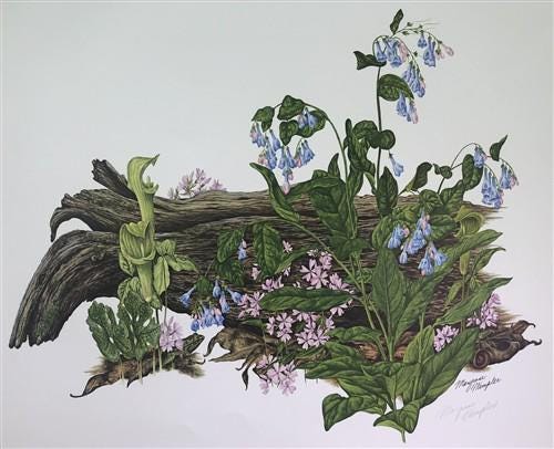 Art & Collectibles > Prints > Lithographs - Maryrose Wampler, Bluebells, Signed Print, 28x22 Wall Art, Plate 27 by The Old...
