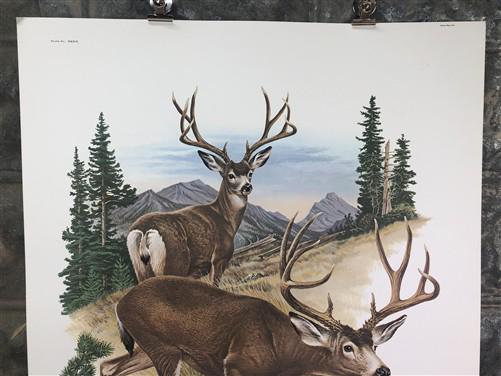 Art & Collectibles > Prints > Lithographs - Richard Timm, Mule Deer, Signed Print, 28x22 Wade Collection, Plate 32 by The...