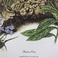 Art & Collectibles > Prints > Lithographs - Maryrose Wampler, Passion Vine, Signed Print, 28x22 Wall Art, Plate 18 by The...