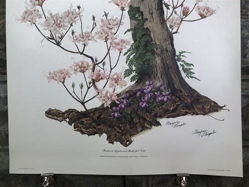 Art & Collectibles > Prints > Lithographs - Maryrose Wampler, Piedmont Azalea Violet, Signed Print, 28x22 Wall Art, Plate...