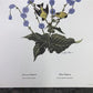 Art & Collectibles > Prints > Lithographs - Richard Sloan, Goldfinch, Signed Print, 11x14, Essay, Sketches, Plate 15 by Th...