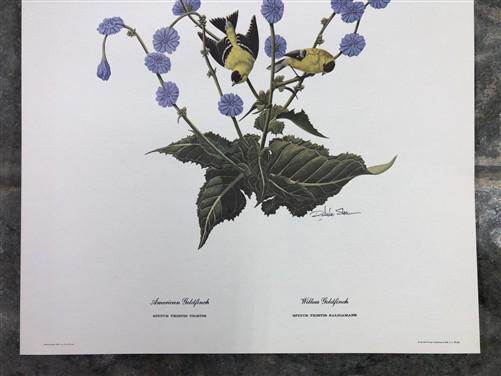 Art & Collectibles > Prints > Lithographs - Richard Sloan, Goldfinch, Signed Print, 11x14, Essay, Sketches, Plate 15 by Th...