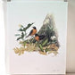 Art & Collectibles > Prints > Lithographs - Richard Sloan, Robin, Signed Print, 28x22, Wade Collection, Plate 9 by The Old...