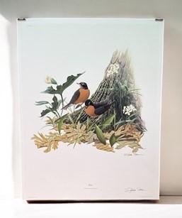 Art & Collectibles > Prints > Lithographs - Richard Sloan, Robin, Signed Print, 28x22, Wade Collection, Plate 9 by The Old...