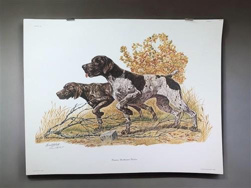 Ernest Hart, German Pointers, Signed Dog Print, 28x22, Wade Collection, Plate 3