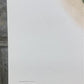 Art & Collectibles > Prints > Lithographs - Richard Sloan, Cactus Wren, Signed Print, 28x22, Wade Collection, Plate 26 by...
