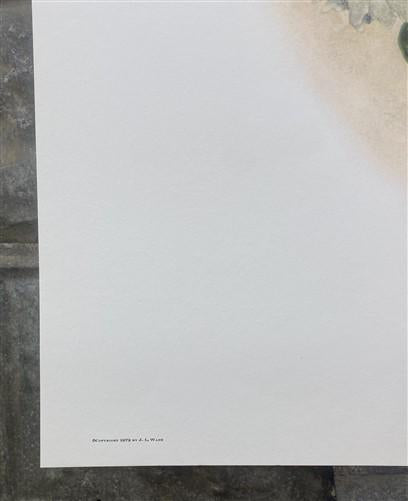 Art & Collectibles > Prints > Lithographs - Richard Sloan, Cactus Wren, Signed Print, 28x22, Wade Collection, Plate 26 by...