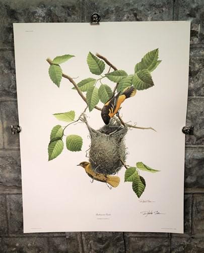 Art & Collectibles > Prints > Lithographs - Richard Sloan, Baltimore Oriole, Signed Print, 28x22, Wade Collection, Plate 1...