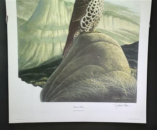 Art & Collectibles > Prints > Lithographs - Richard Sloan, Prairie Falcon, Signed Print, 28x22, Wade Collection, Plate 33...