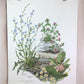 Maryrose Wampler Red Clover Roadside Flower Signed Print 28x22 Wall Art Plate 11