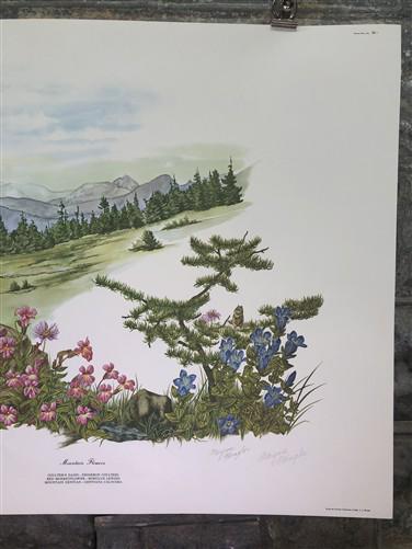 Art & Collectibles > Prints > Lithographs - Maryrose Wampler, Mountain Flowers, Signed Print, 28x22 Wall Art, Plate 30 by...