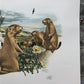 Art & Collectibles > Prints > Lithographs - Richard Timm, Prairie Dog, Signed Print, 28x22 Wade Collection, Plate 29 by Th...