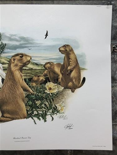 Art & Collectibles > Prints > Lithographs - Richard Timm, Prairie Dog, Signed Print, 28x22 Wade Collection, Plate 29 by Th...