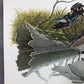 Art & Collectibles > Prints > Lithographs - Richard Sloan, Wood Duck, Signed Print, 11x14, Essay, Sketches, Plate 8 by The...