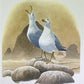 Art & Collectibles > Prints > Lithographs - Richard Sloan, California Gull, Signed Print, 28x22, Wade Collection, Plate 31...