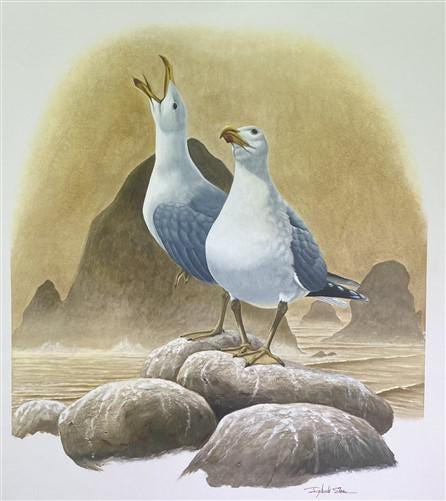 Art & Collectibles > Prints > Lithographs - Richard Sloan, California Gull, Signed Print, 28x22, Wade Collection, Plate 31...